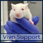 KESLATM - Vivo Support